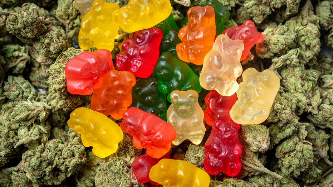 A New Kind of Sweet Escape The Benefits of HHC Gummies